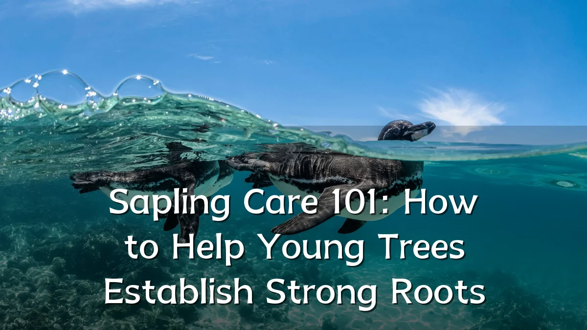 Sapling Care 101: How to Help Young Trees Establish Strong Roots