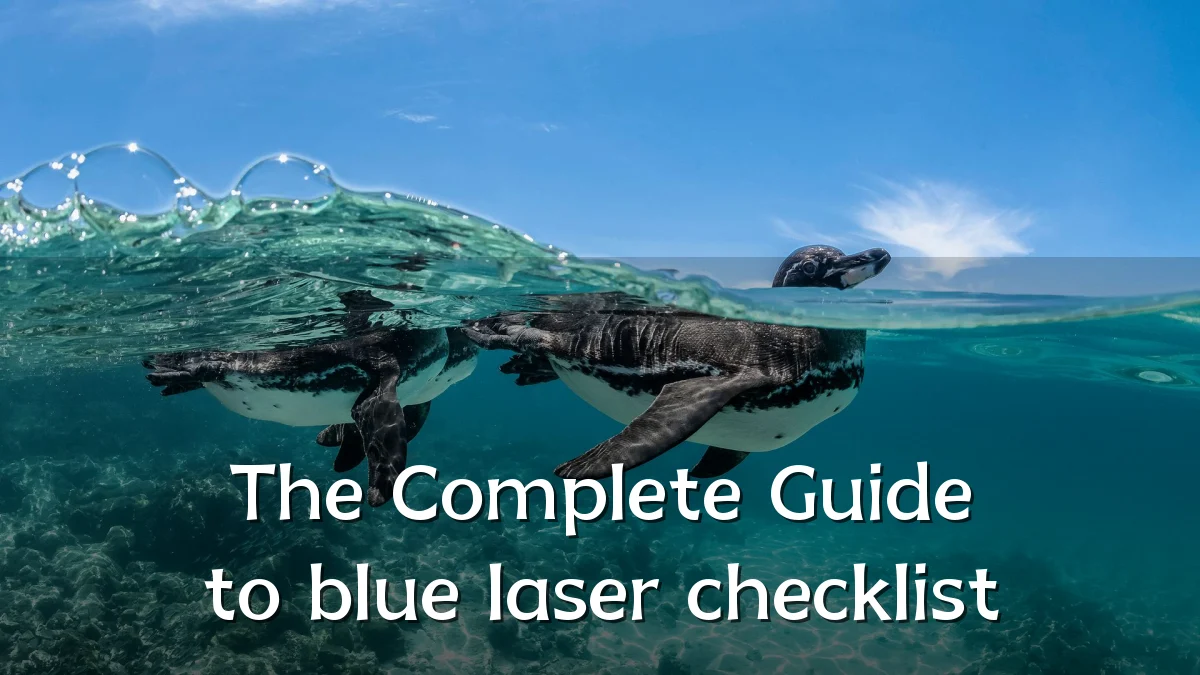 The Complete Guide to blue laser checklist