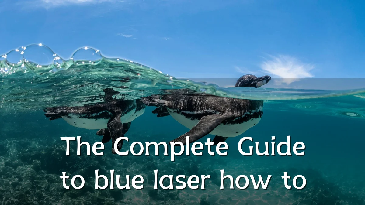 The Complete Guide to blue laser how to