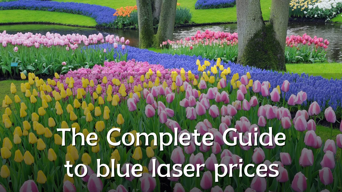 The Complete Guide to blue laser prices