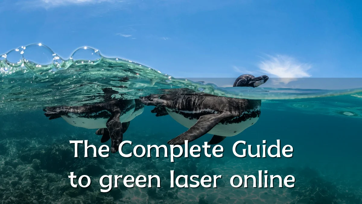 The Complete Guide to green laser online