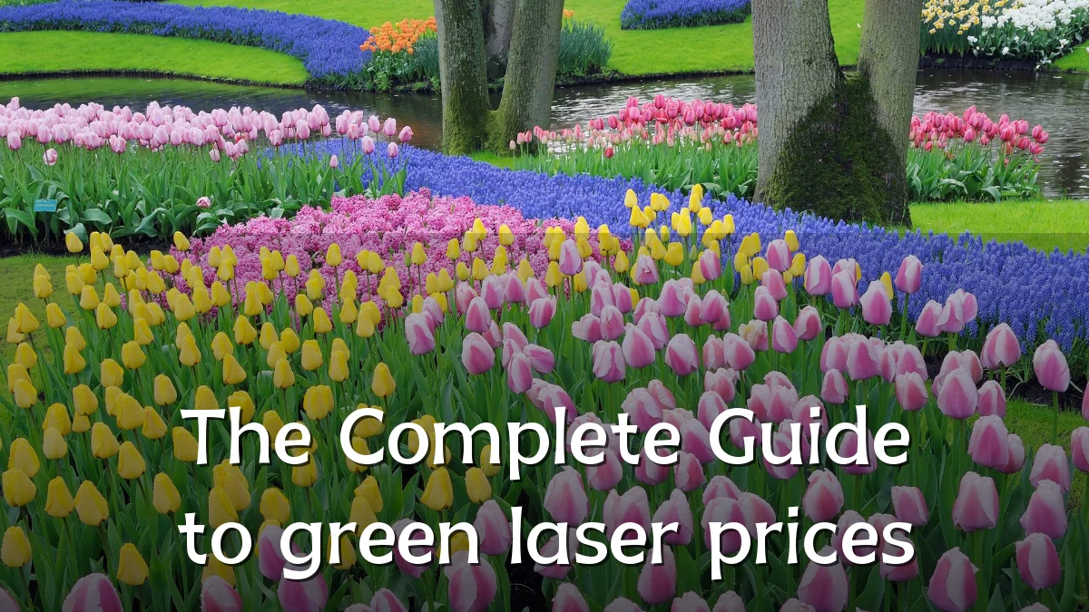 The Complete Guide to green laser prices