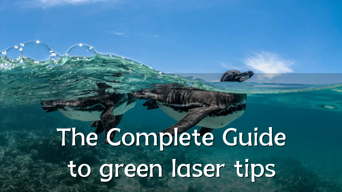 The Complete Guide to green laser tips