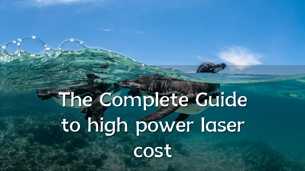 The Complete Guide to high power laser cost