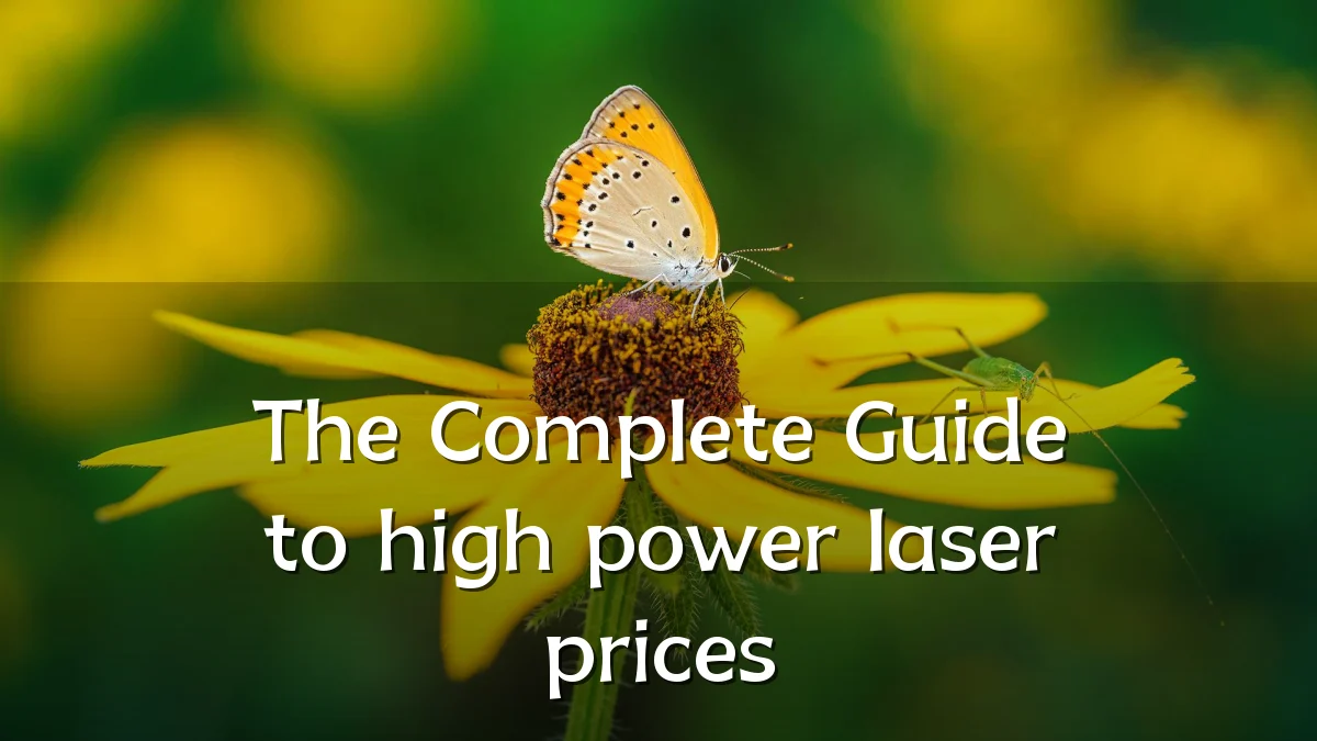 The Complete Guide to high power laser prices