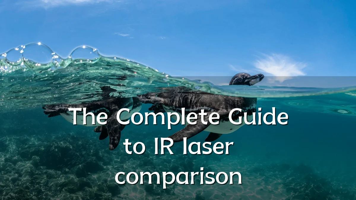 The Complete Guide to IR laser comparison