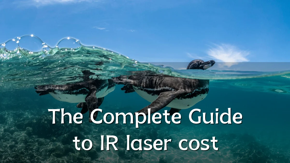 The Complete Guide to IR laser cost