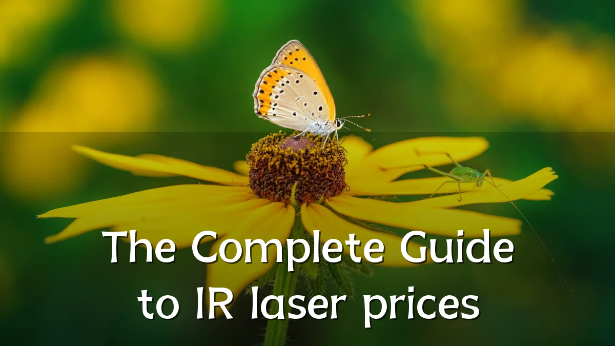 The Complete Guide to IR laser prices