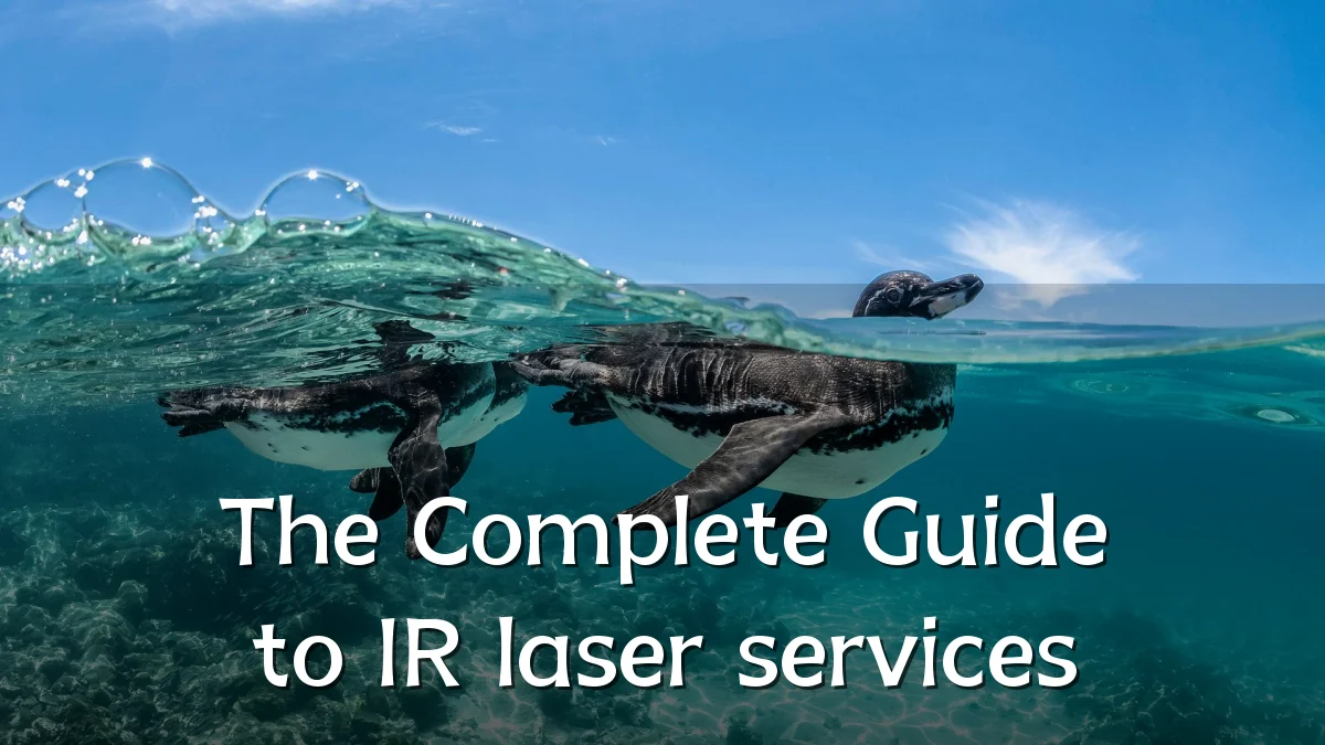 The Complete Guide to IR laser services