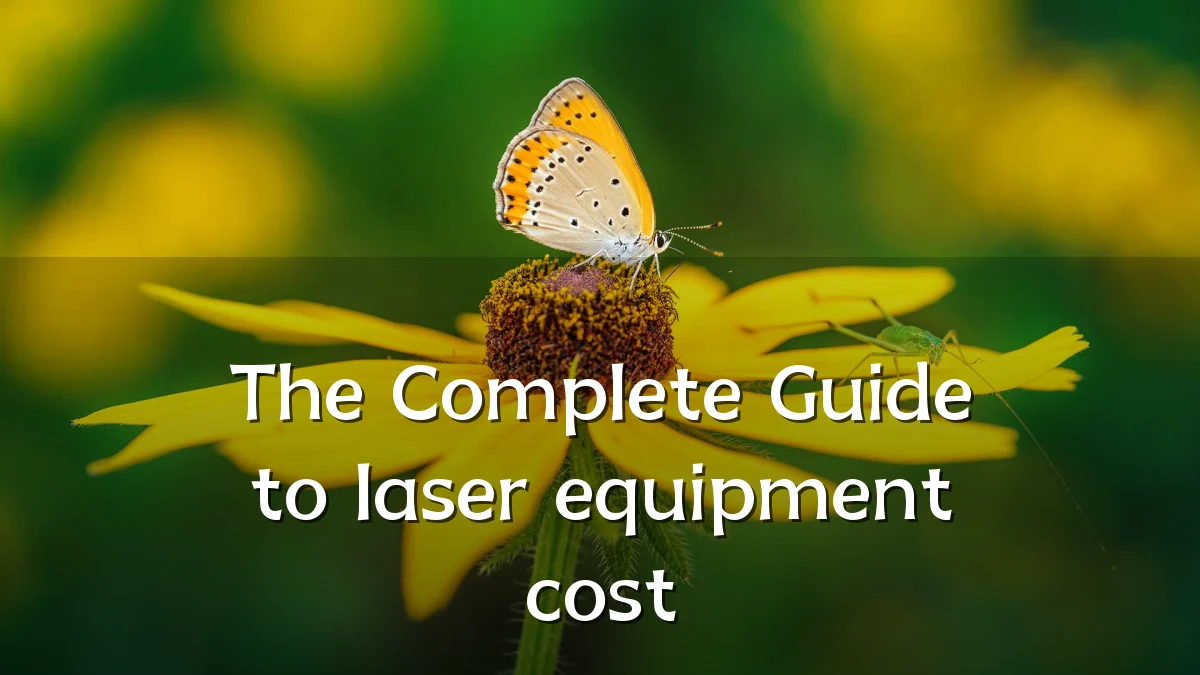The Complete Guide to laser equipment cost
