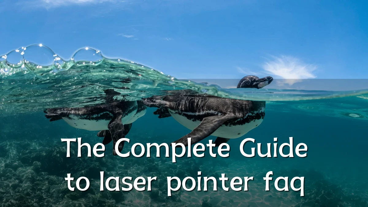 The Complete Guide to laser pointer faq