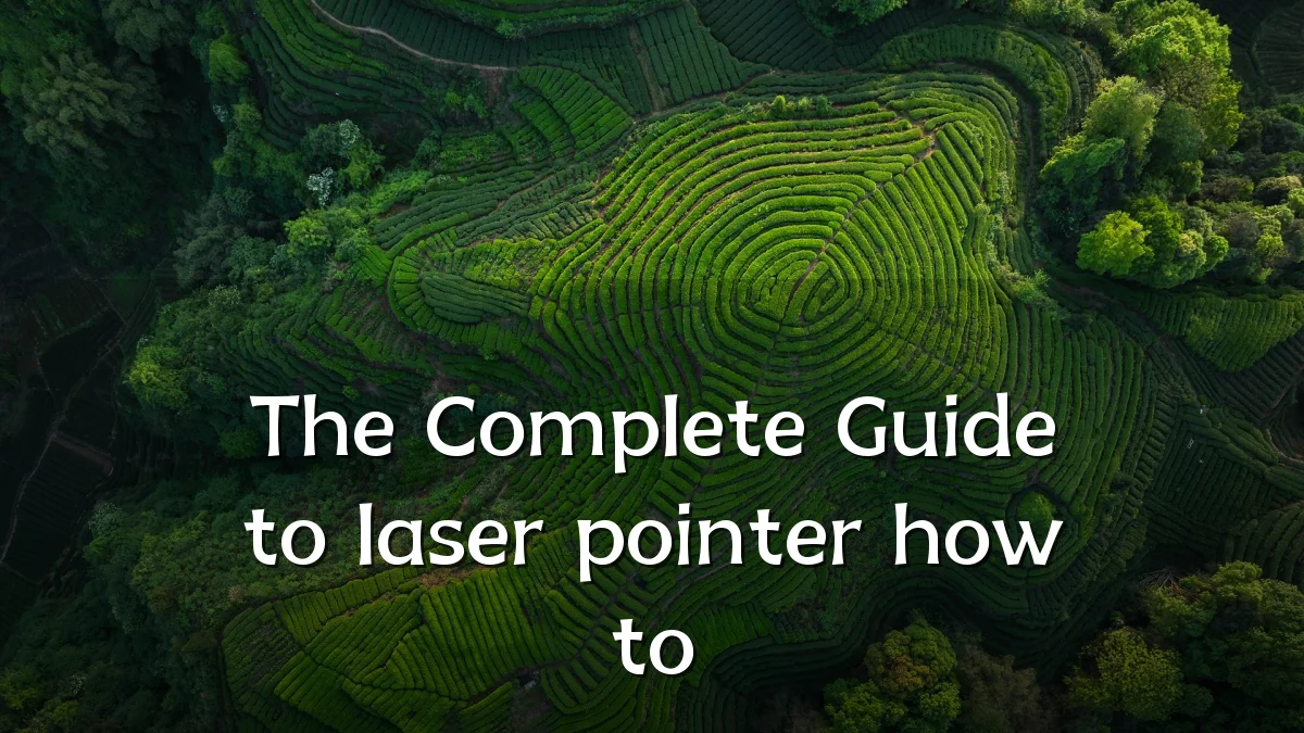 The Complete Guide to laser pointer how to