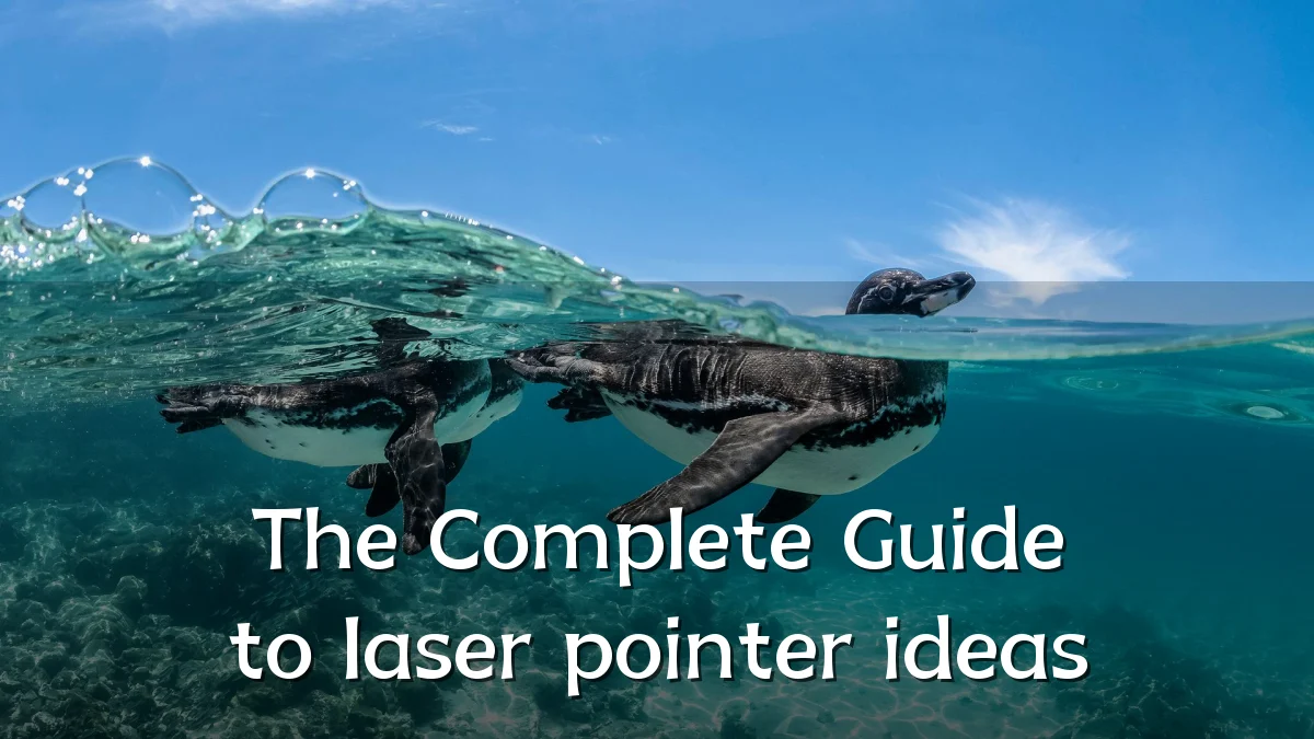 The Complete Guide to laser pointer ideas