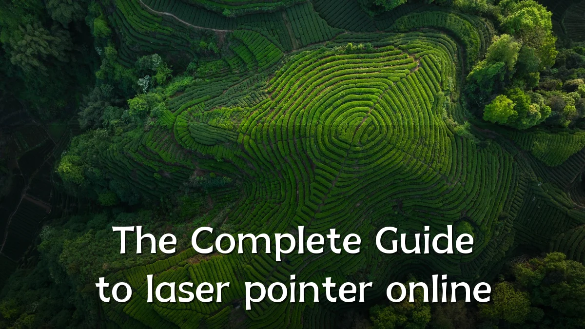 The Complete Guide to laser pointer online
