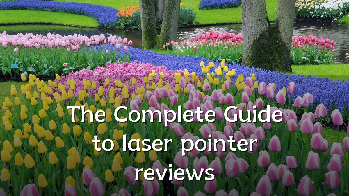 The Complete Guide to laser pointer reviews