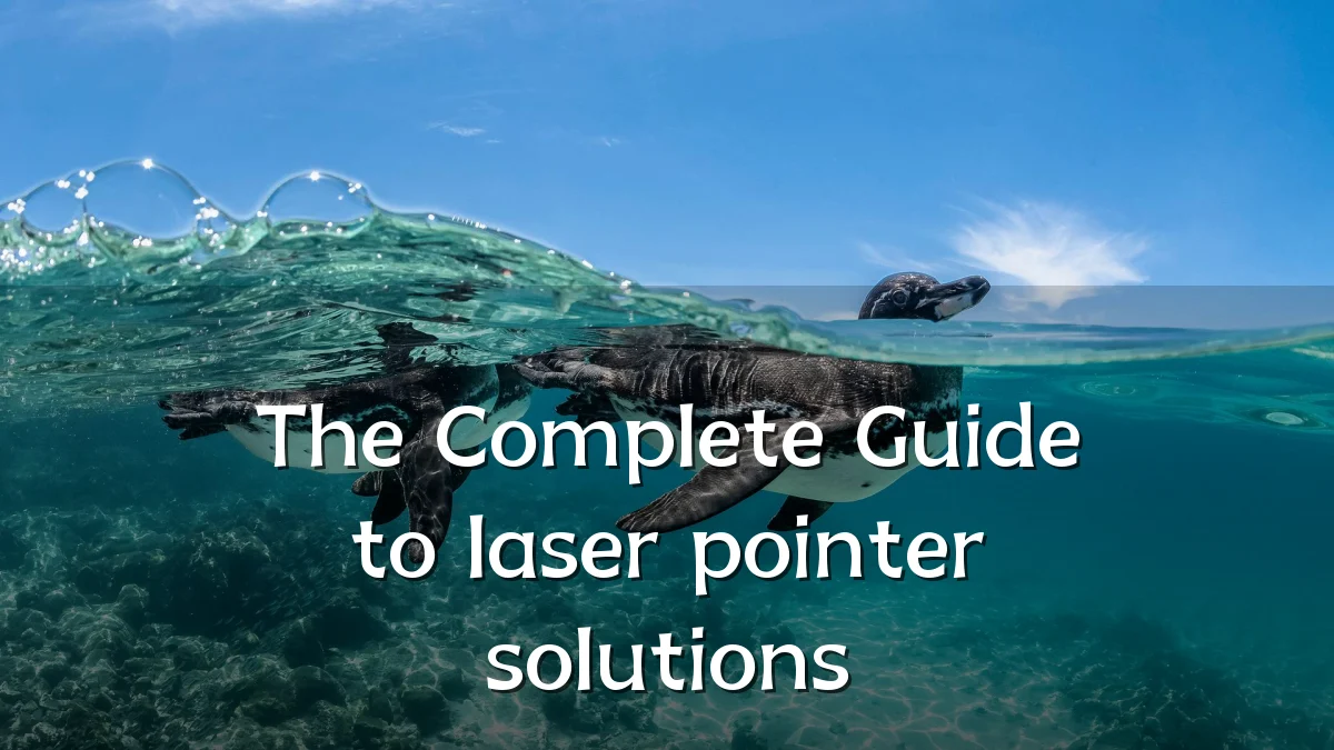 The Complete Guide to laser pointer solutions