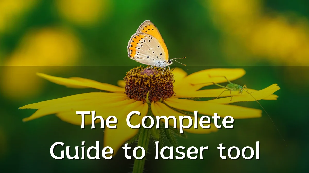The Complete Guide to laser tool