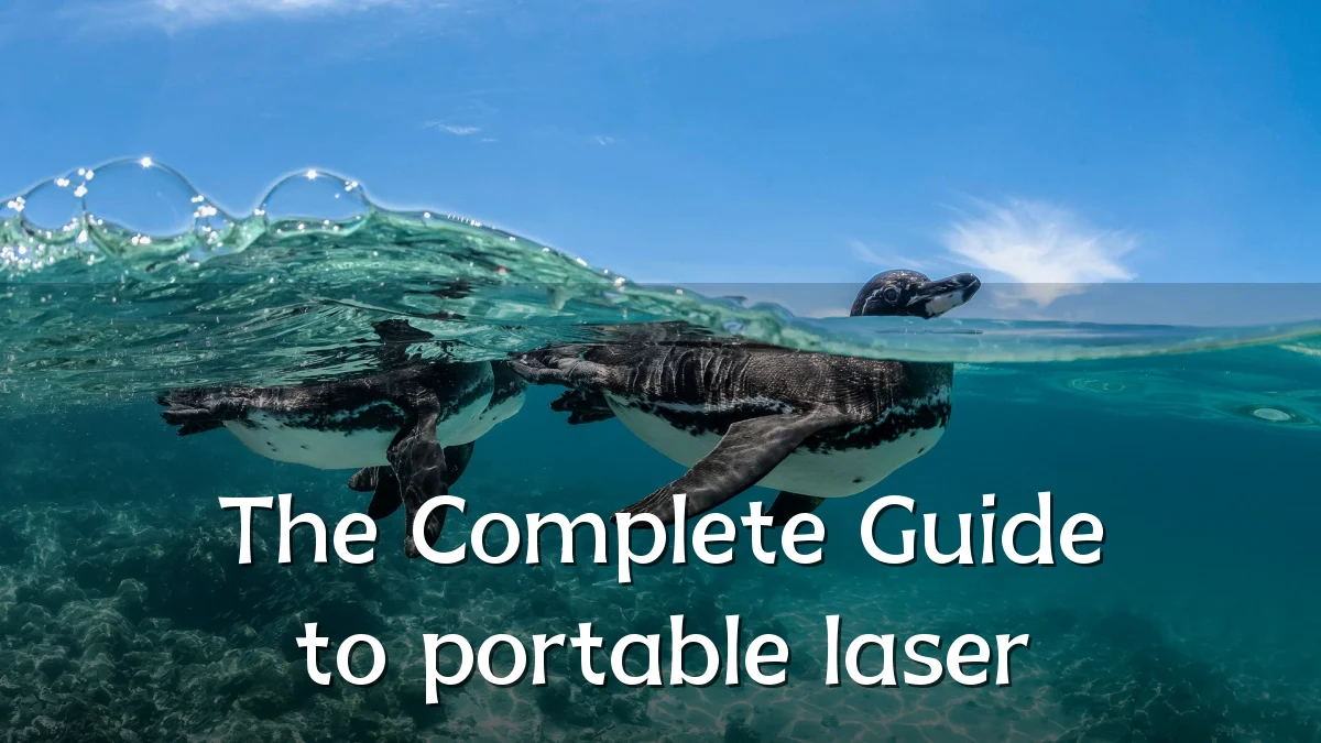 The Complete Guide to portable laser