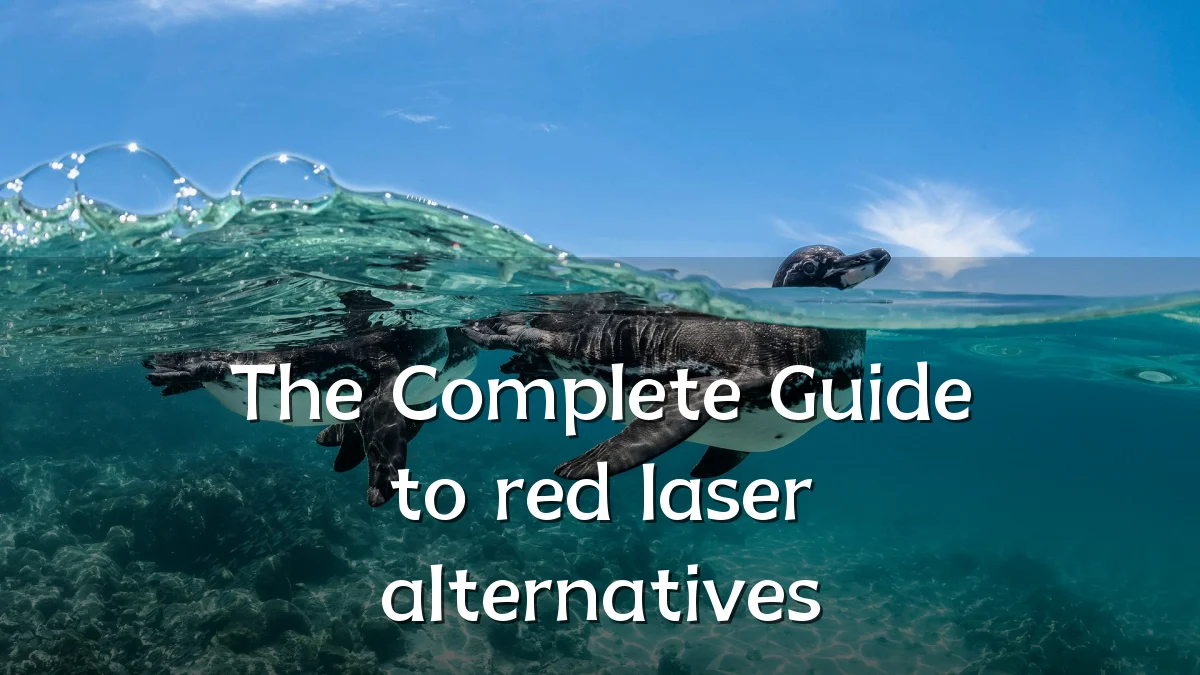 The Complete Guide to red laser alternatives