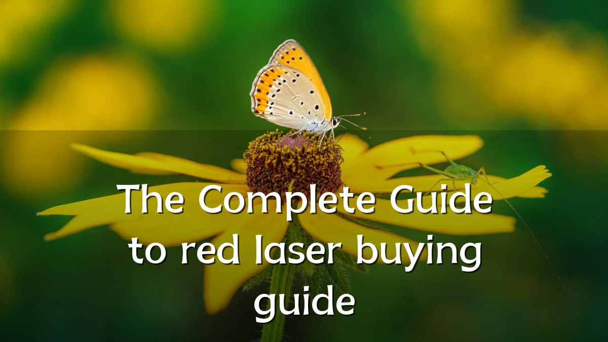The Complete Guide to red laser buying guide