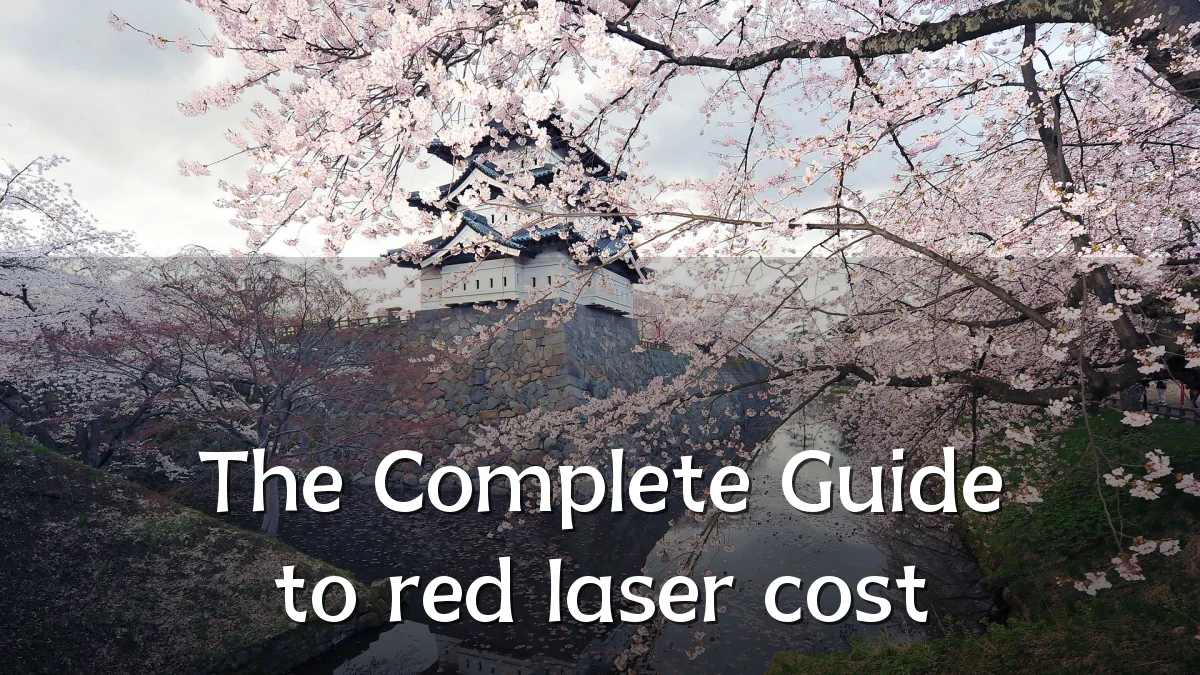 The Complete Guide to red laser cost