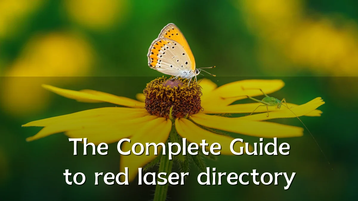 The Complete Guide to red laser directory
