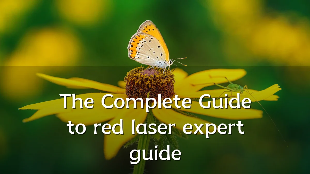 The Complete Guide to red laser expert guide