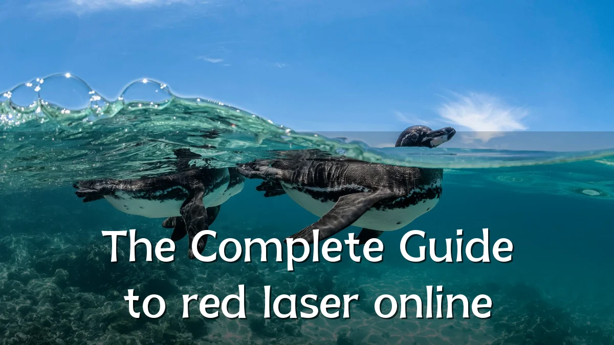The Complete Guide to red laser online