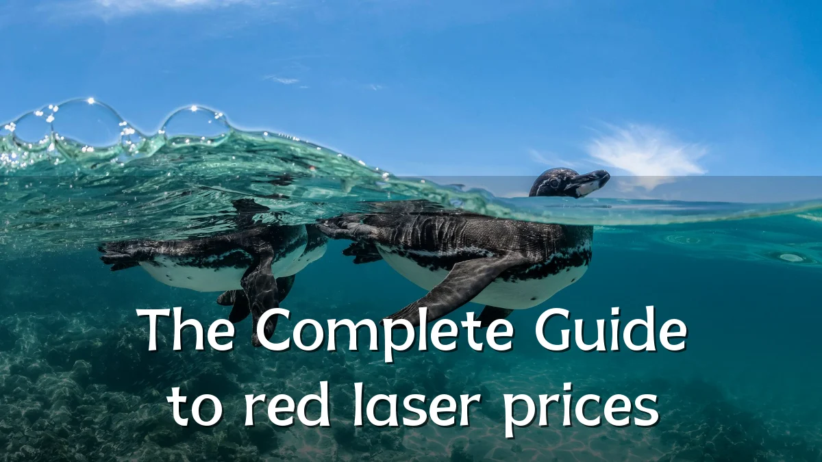 The Complete Guide to red laser prices