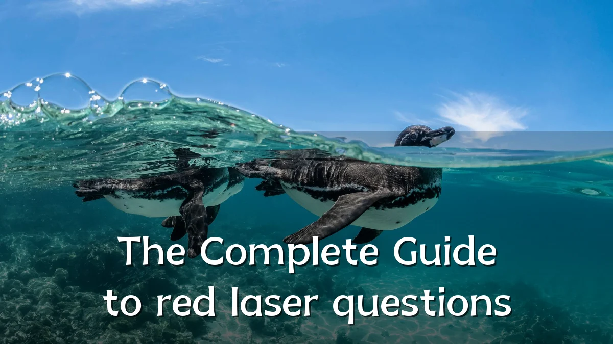 The Complete Guide to red laser questions