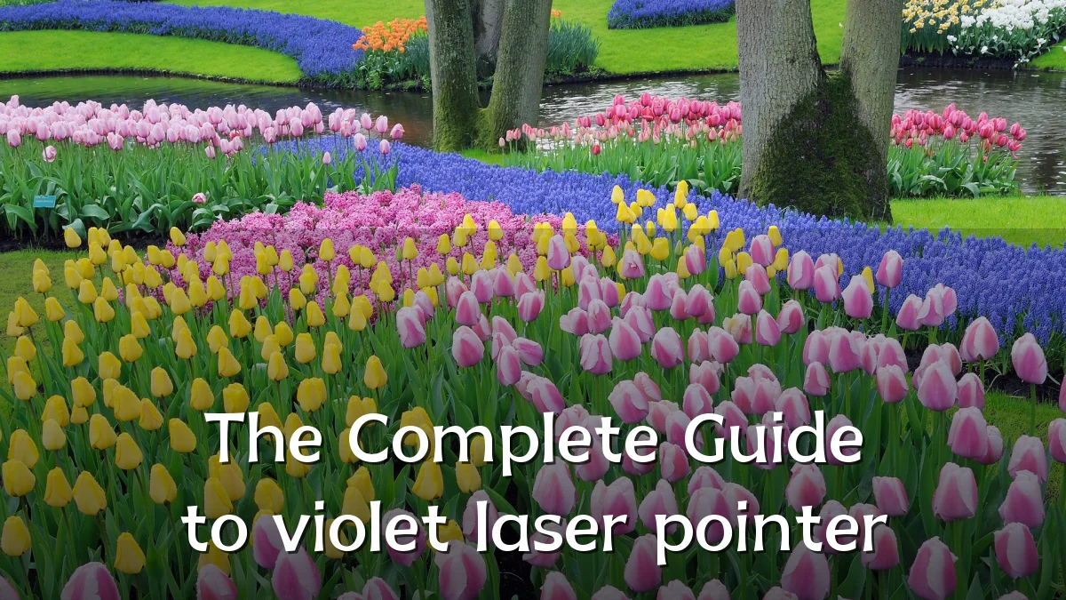 The Complete Guide to violet laser pointer