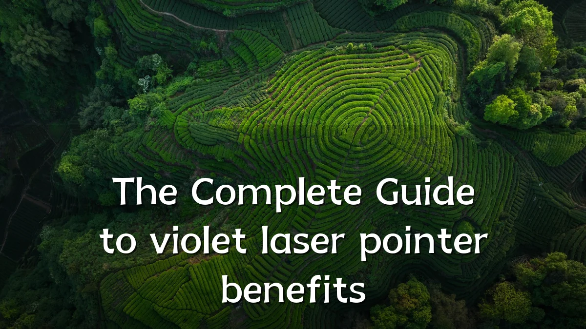 The Complete Guide to violet laser pointer benefits