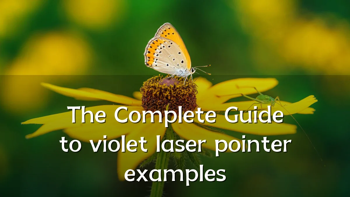 The Complete Guide to violet laser pointer examples