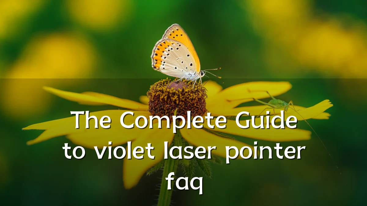 The Complete Guide to violet laser pointer faq
