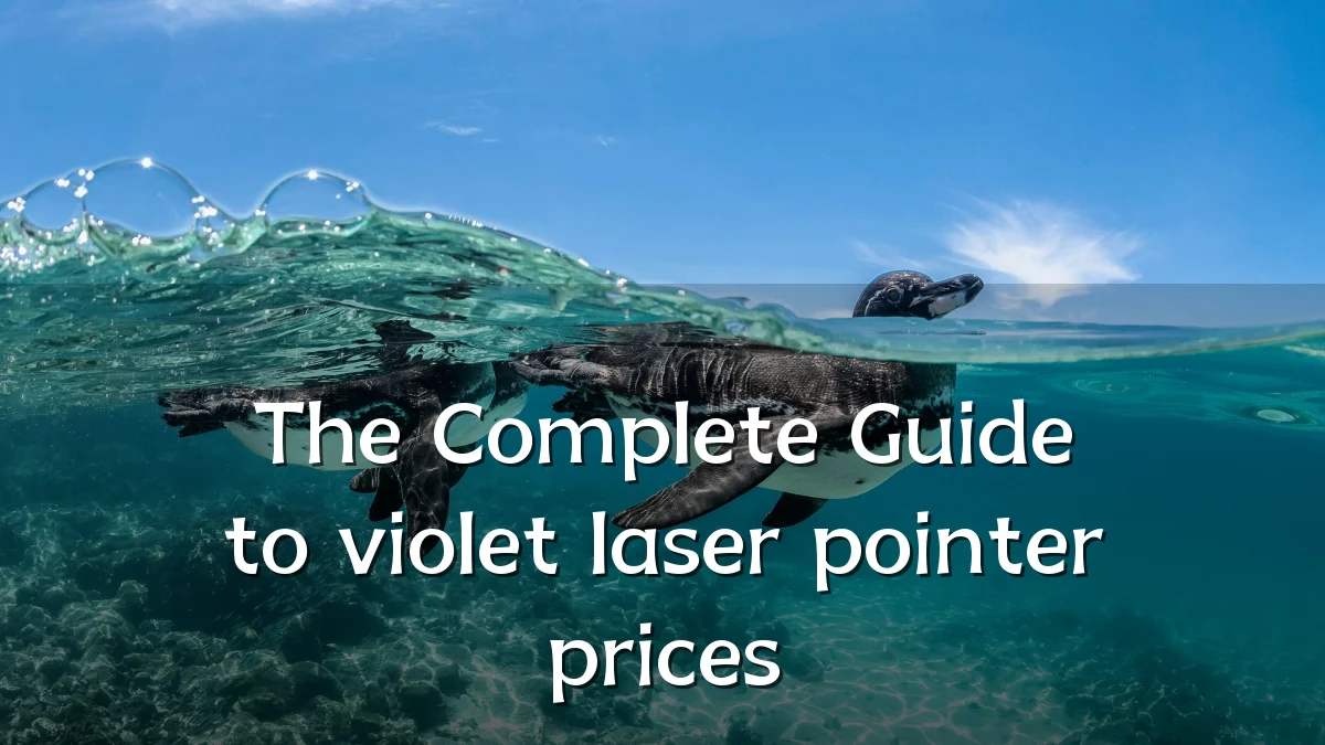 The Complete Guide to violet laser pointer prices