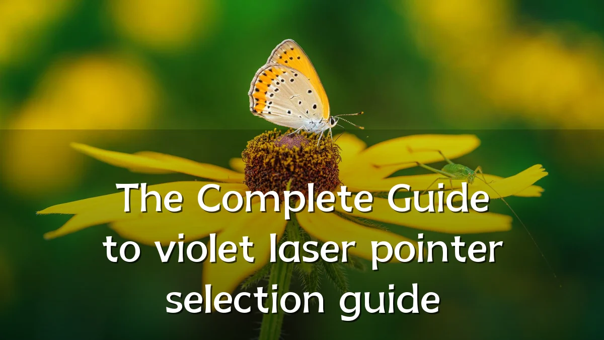 The Complete Guide to violet laser pointer selection guide