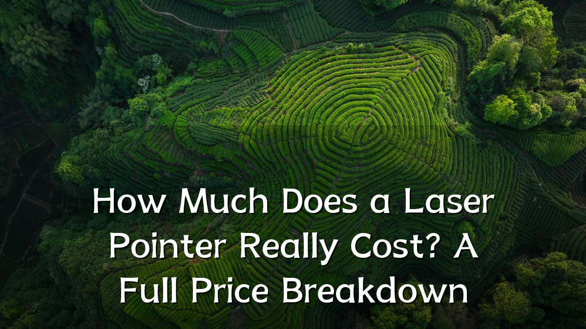 How Much Does a Laser Pointer Really Cost? A Full Price Breakdown