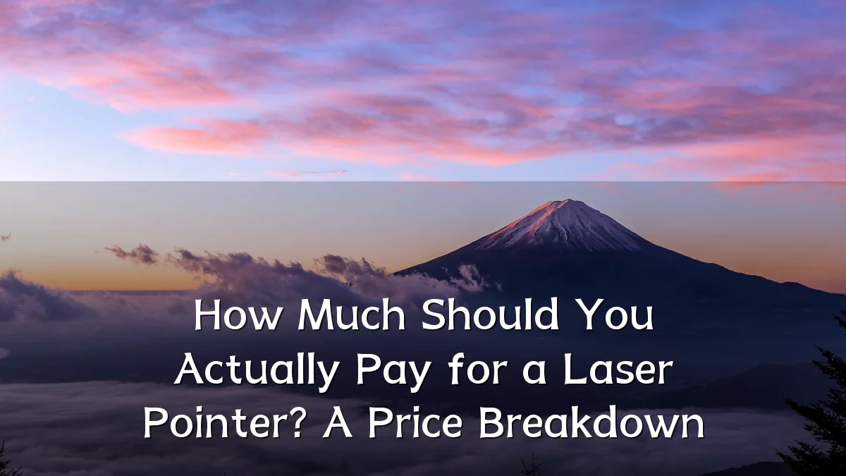 How Much Should You Actually Pay for a Laser Pointer? A Price Breakdown