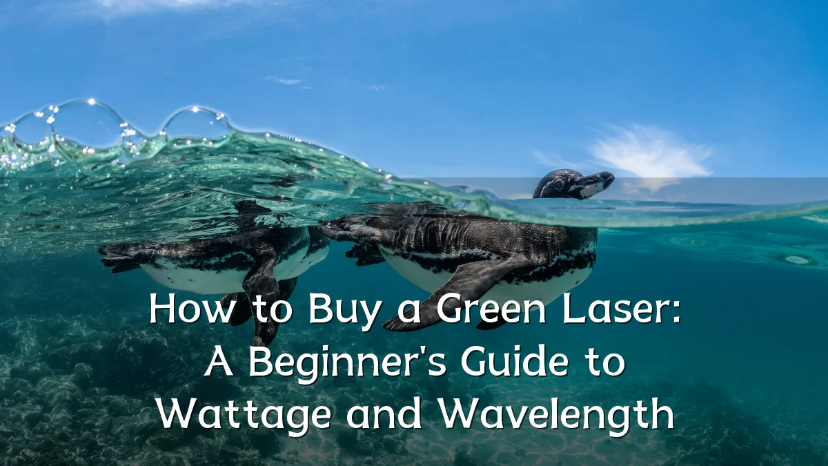 How to Buy a Green Laser: A Beginner's Guide to Wattage and Wavelength