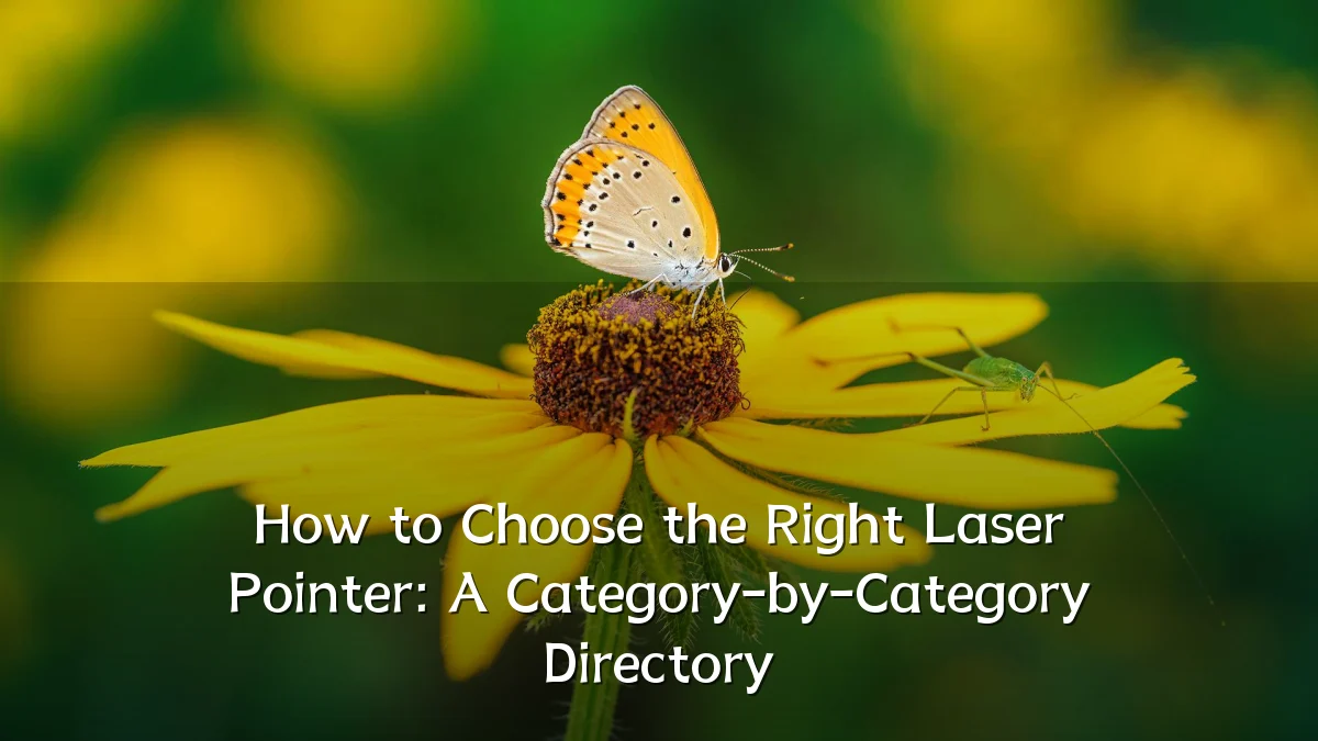How to Choose the Right Laser Pointer: A Category-by-Category Directory