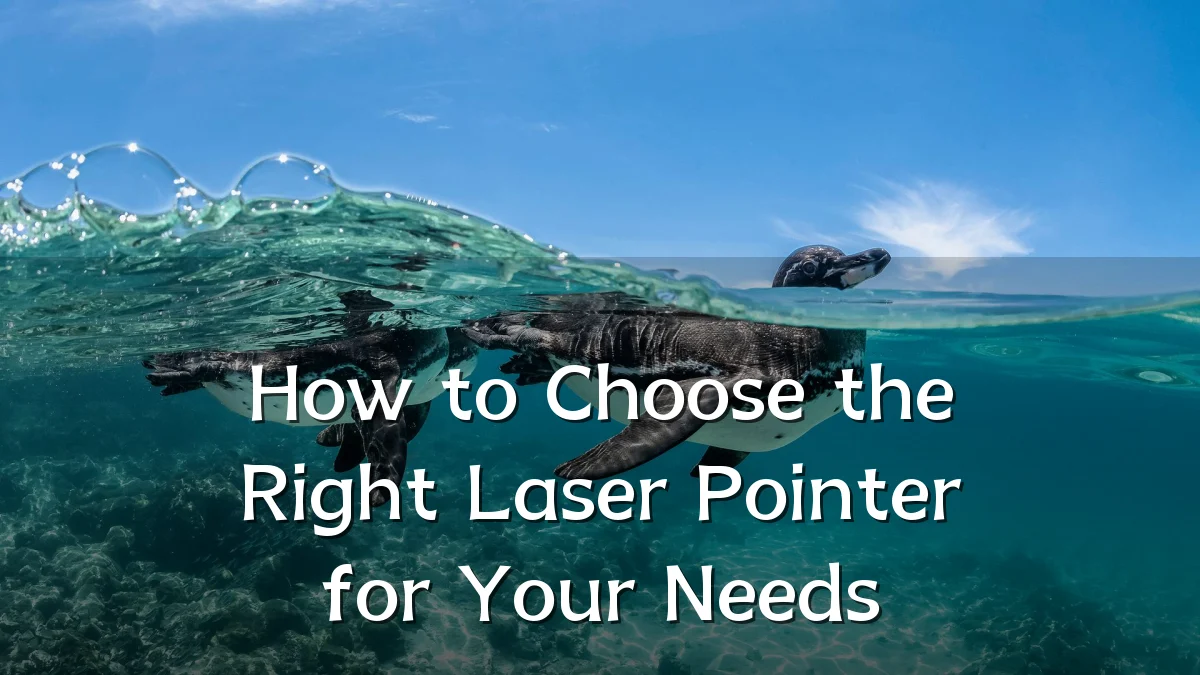 How to Choose the Right Laser Pointer for Your Needs