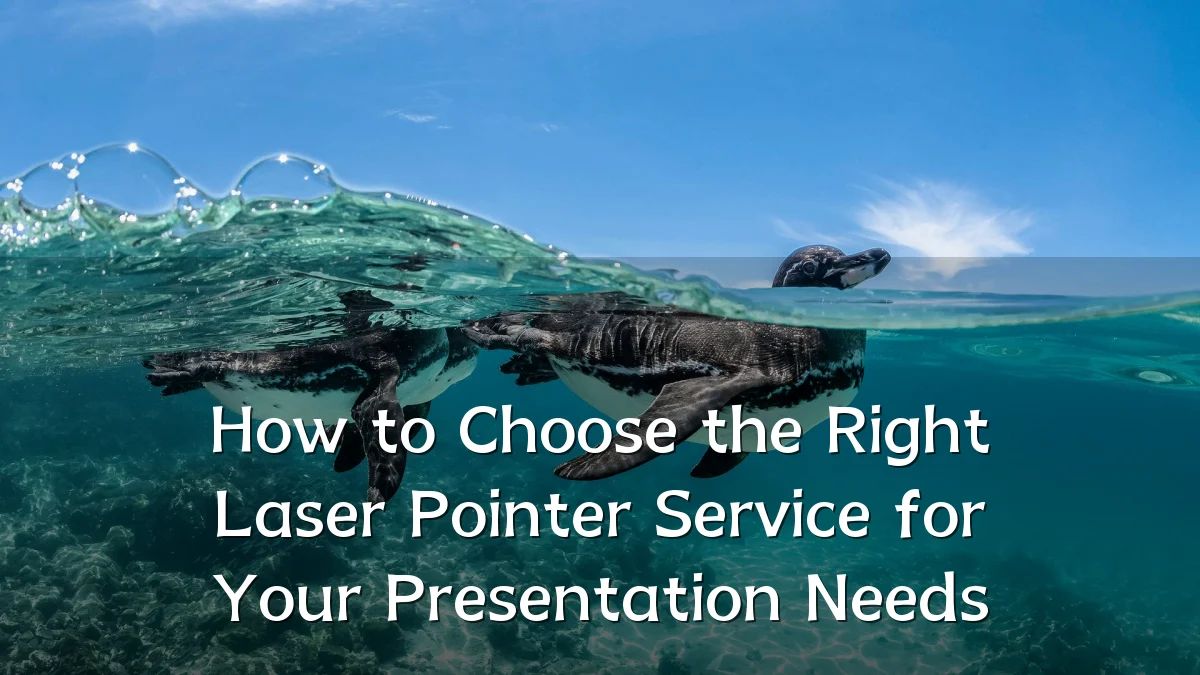 How to Choose the Right Laser Pointer Service for Your Presentation Needs