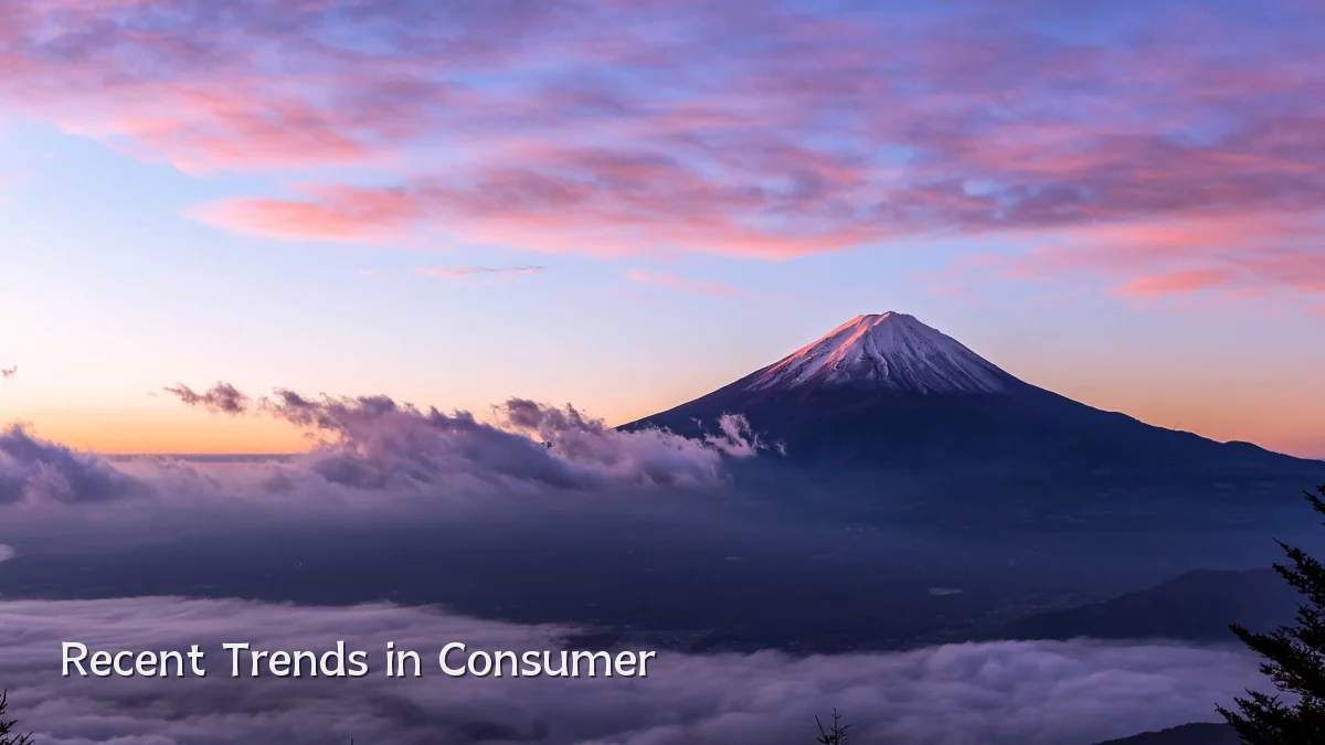 Recent Trends in Consumer