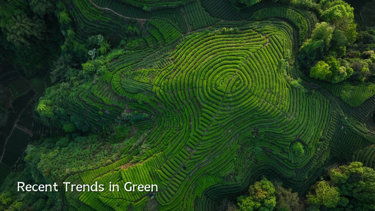 Recent Trends in Green