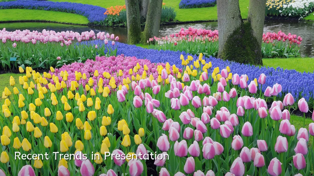 Recent Trends in Presentation