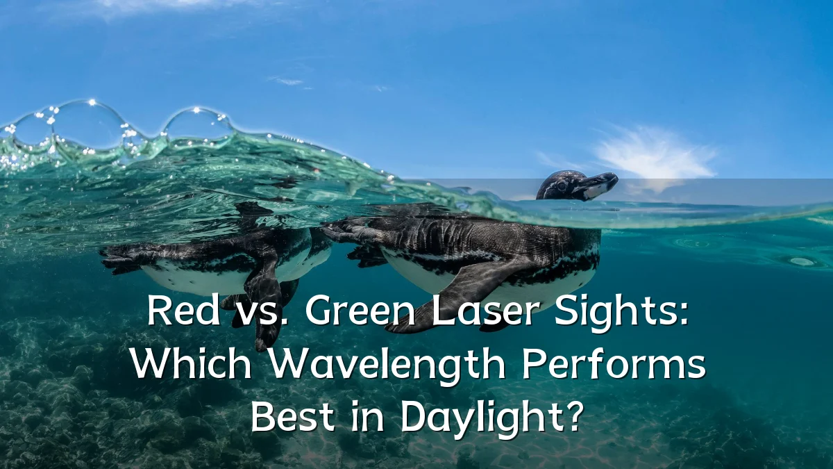 Red vs. Green Laser Sights: Which Wavelength Performs Best in Daylight?