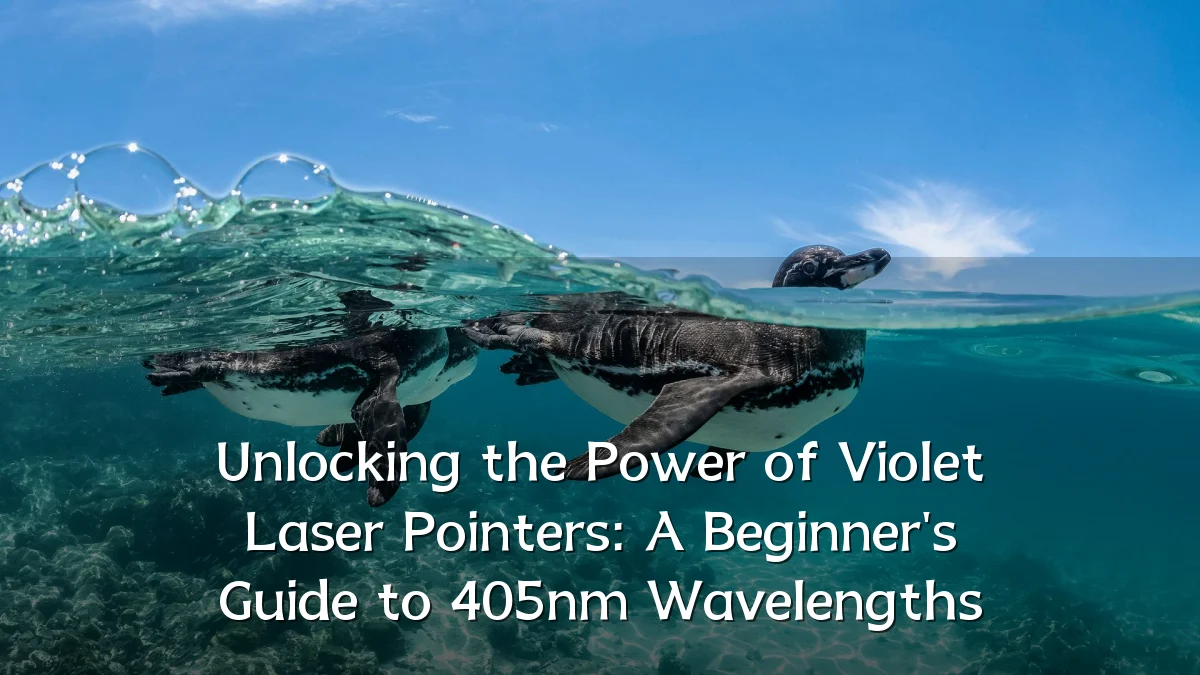 Unlocking the Power of Violet Laser Pointers: A Beginner's Guide to 405nm Wavelengths