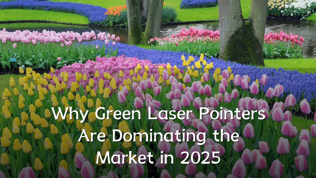 Why Green Laser Pointers Are Dominating the Market in 2025