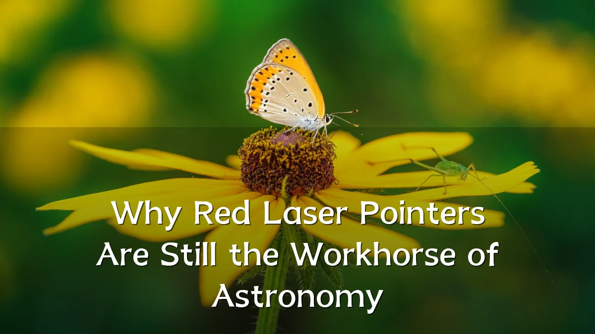 Why Red Laser Pointers Are Still the Workhorse of Astronomy