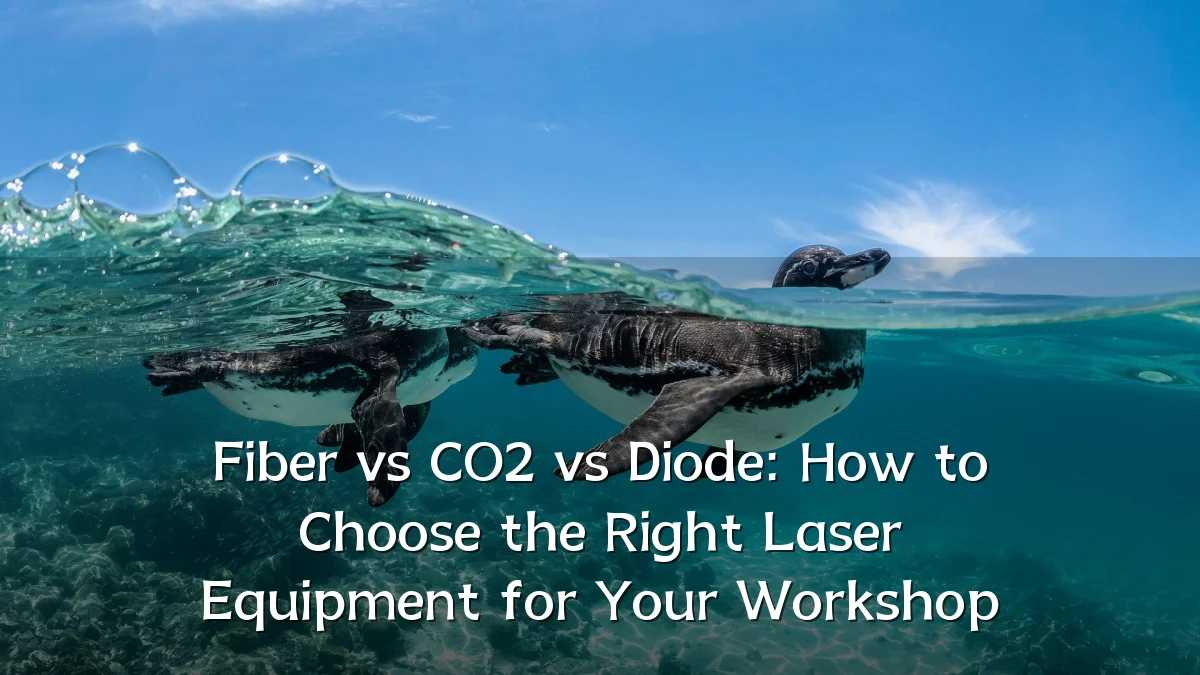 Fiber vs CO2 vs Diode: How to Choose the Right Laser Equipment for Your Workshop